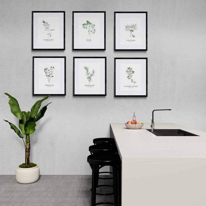 Tarragon | Herb Wall Art