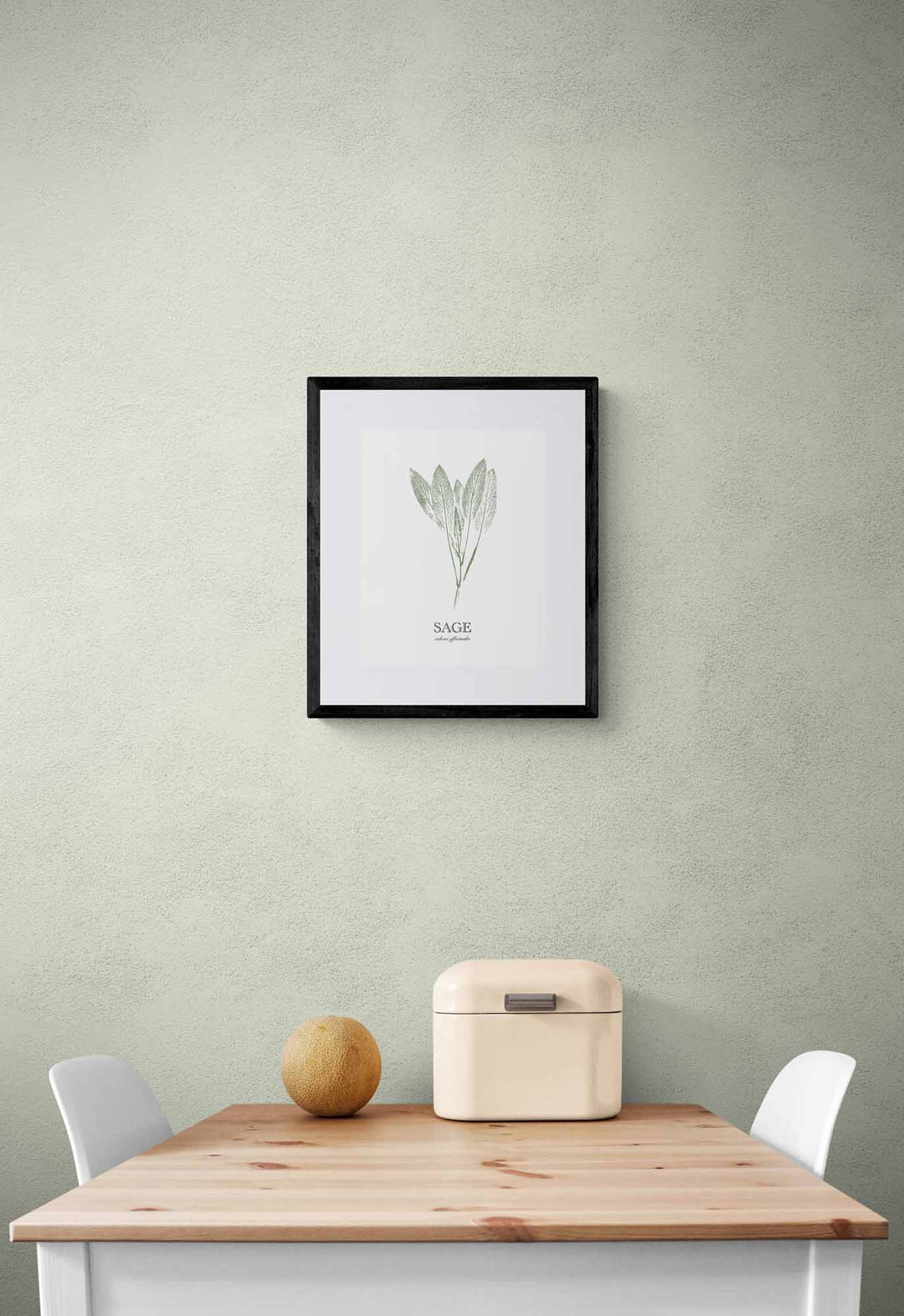 Sage | Herb Wall Art