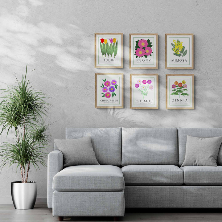 China Aster | Flower Art Prints