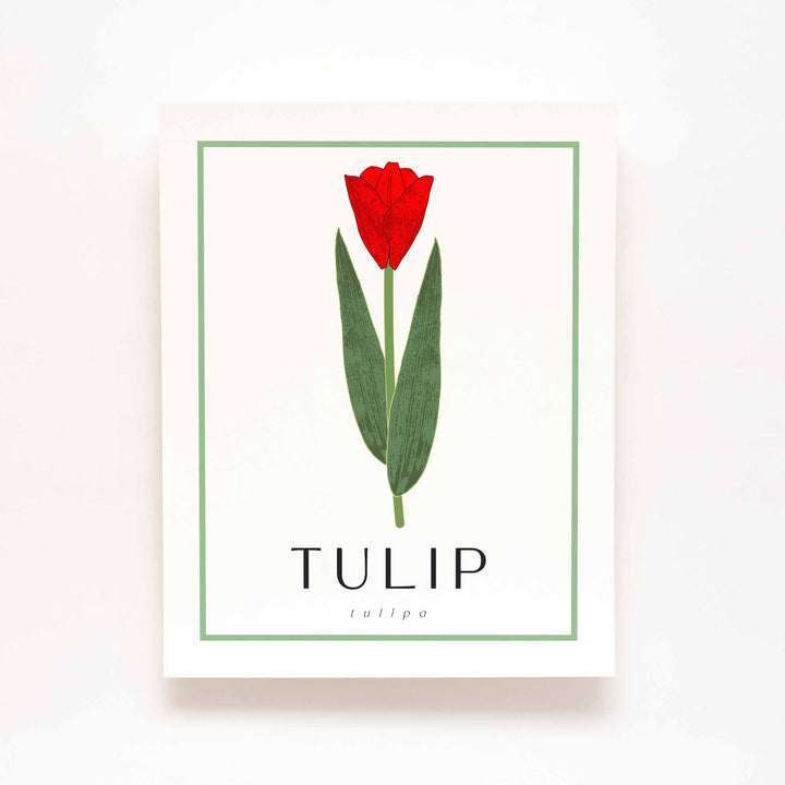 Tulip (Red) | Flower Art Prints