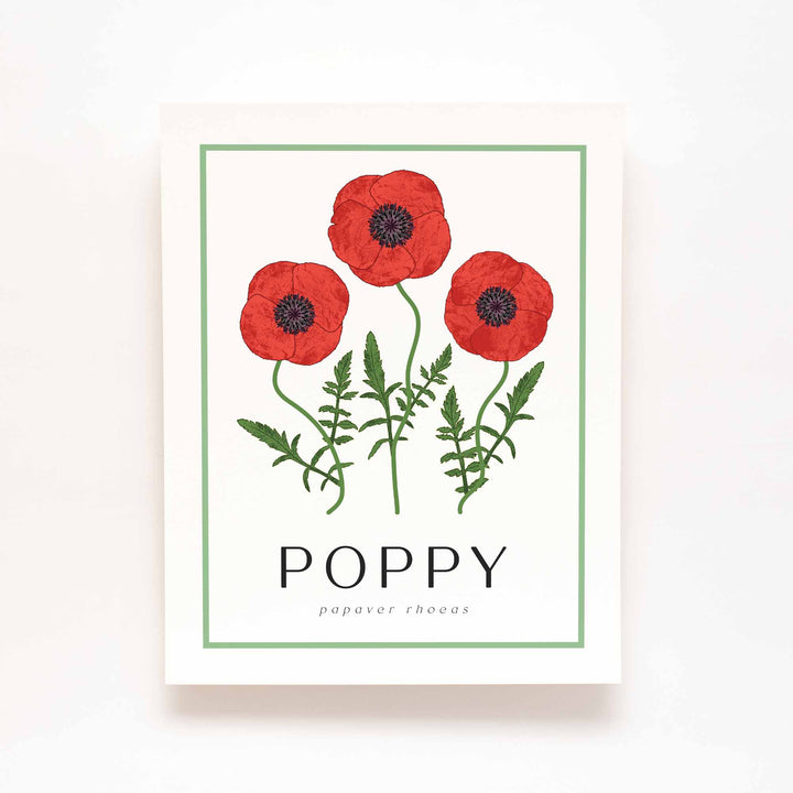 Poppy | Flower Art Prints