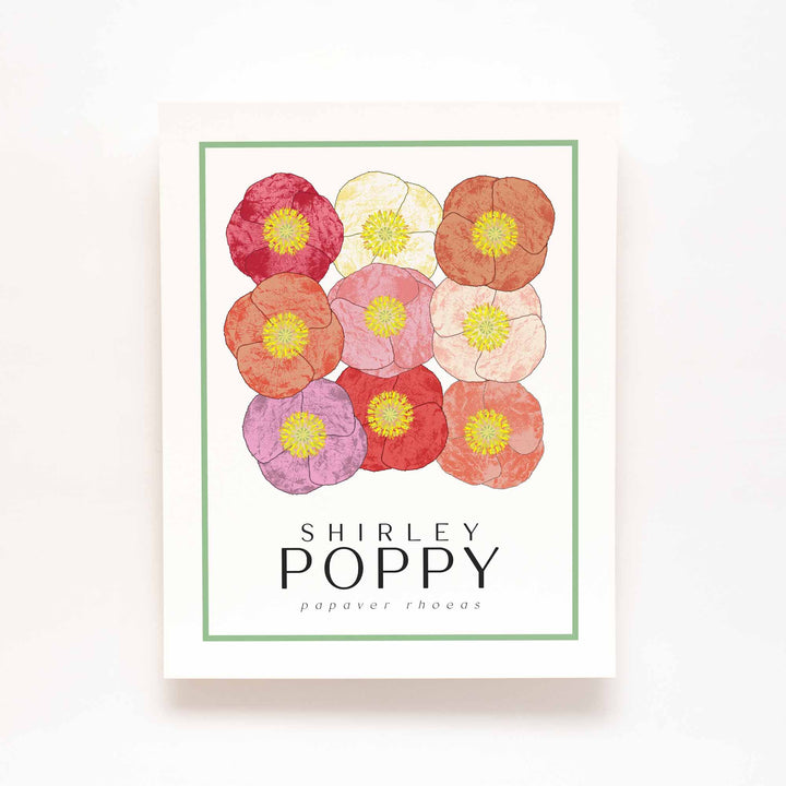 Shirley Poppy | Flower Art Prints