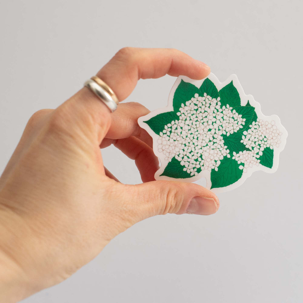 Hand holding a sticker with green leaves and white flowers against a light gray background