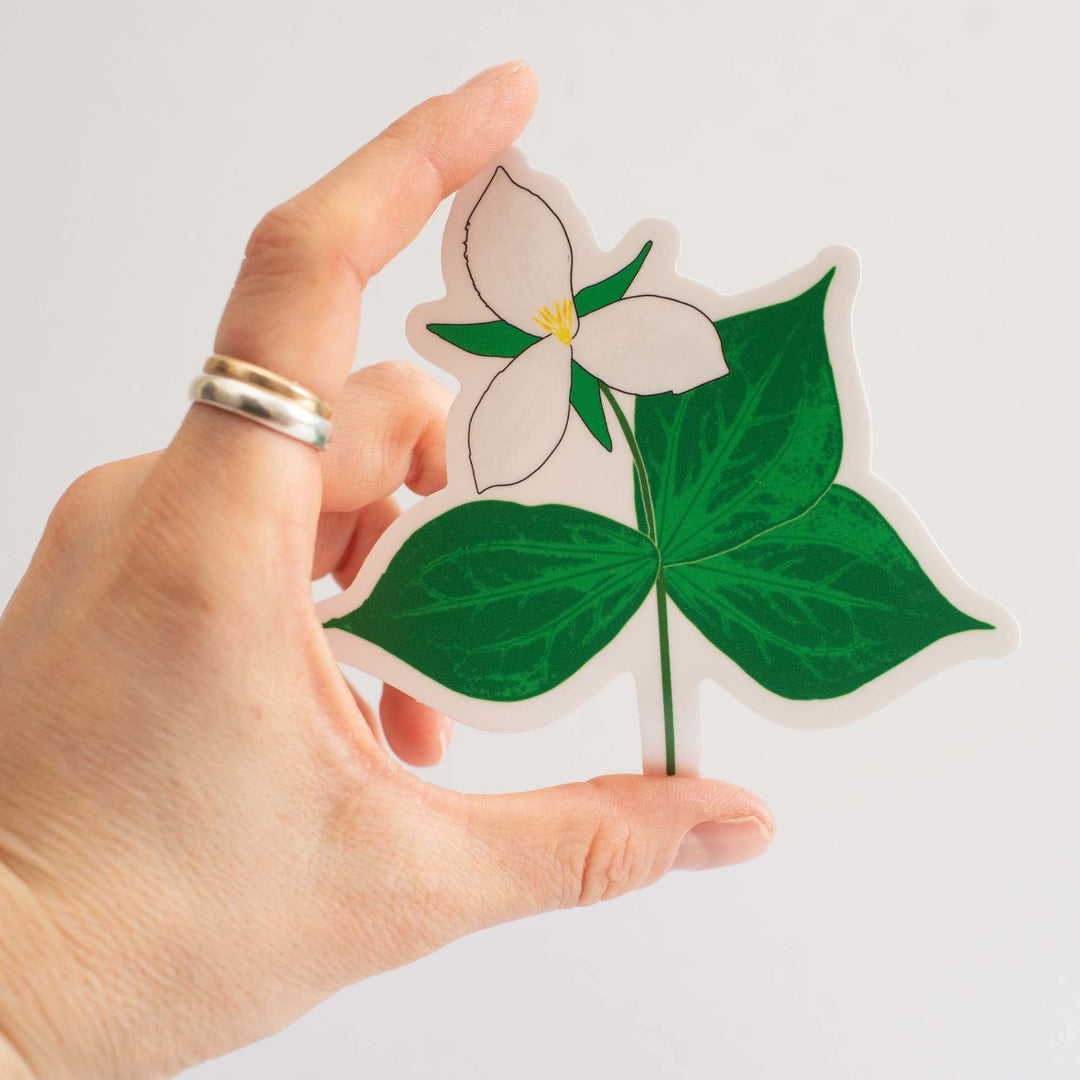 Hand holding a sticker of a white trillium flower and green leaves on a plain background