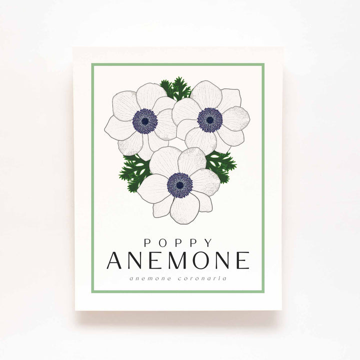 Poppy Anemone (White) | Flower Art Prints