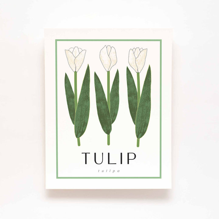 Tulip (White) | Flower Art Prints