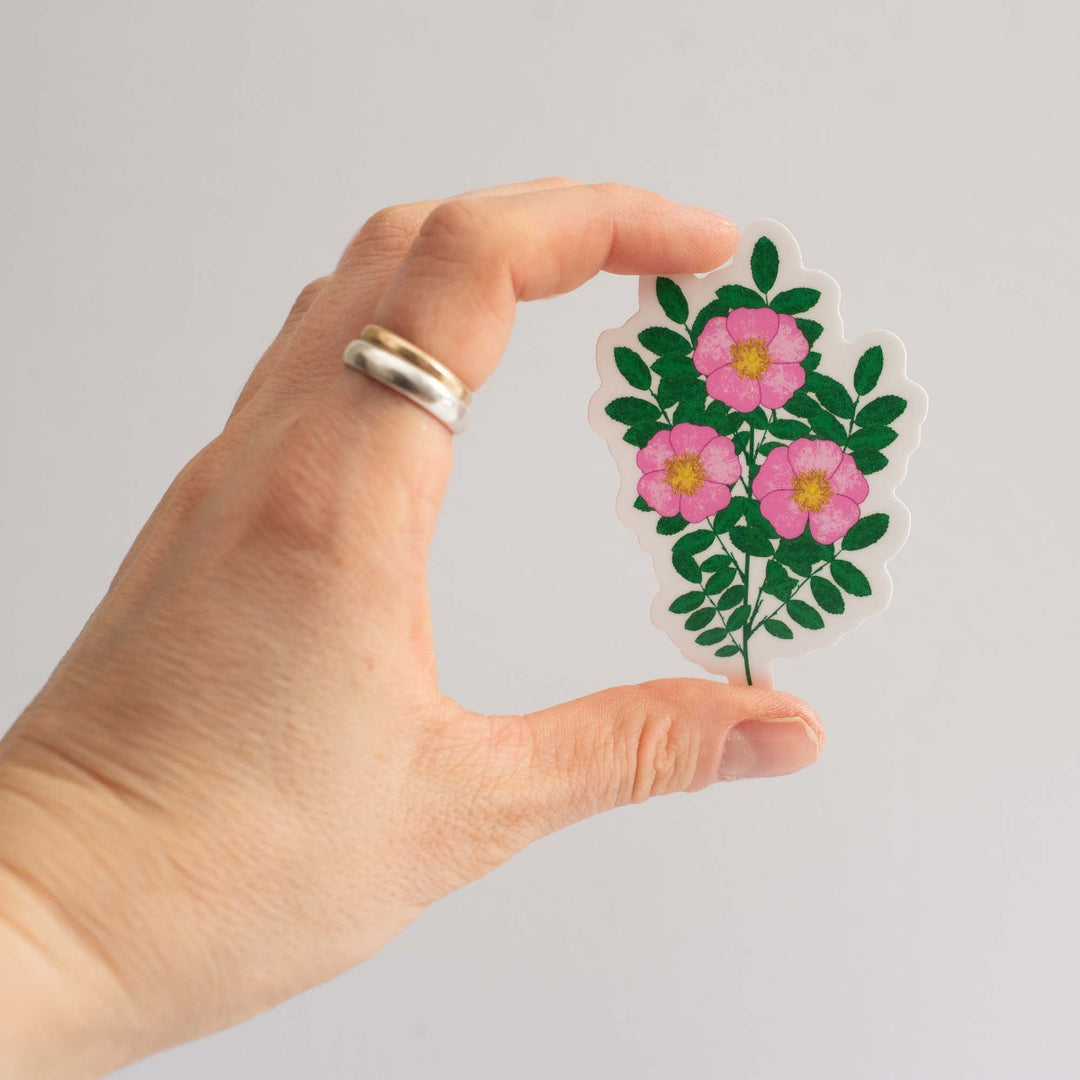 Hand holding a floral sticker of wild roses with pink flowers and green leaves on a plain background